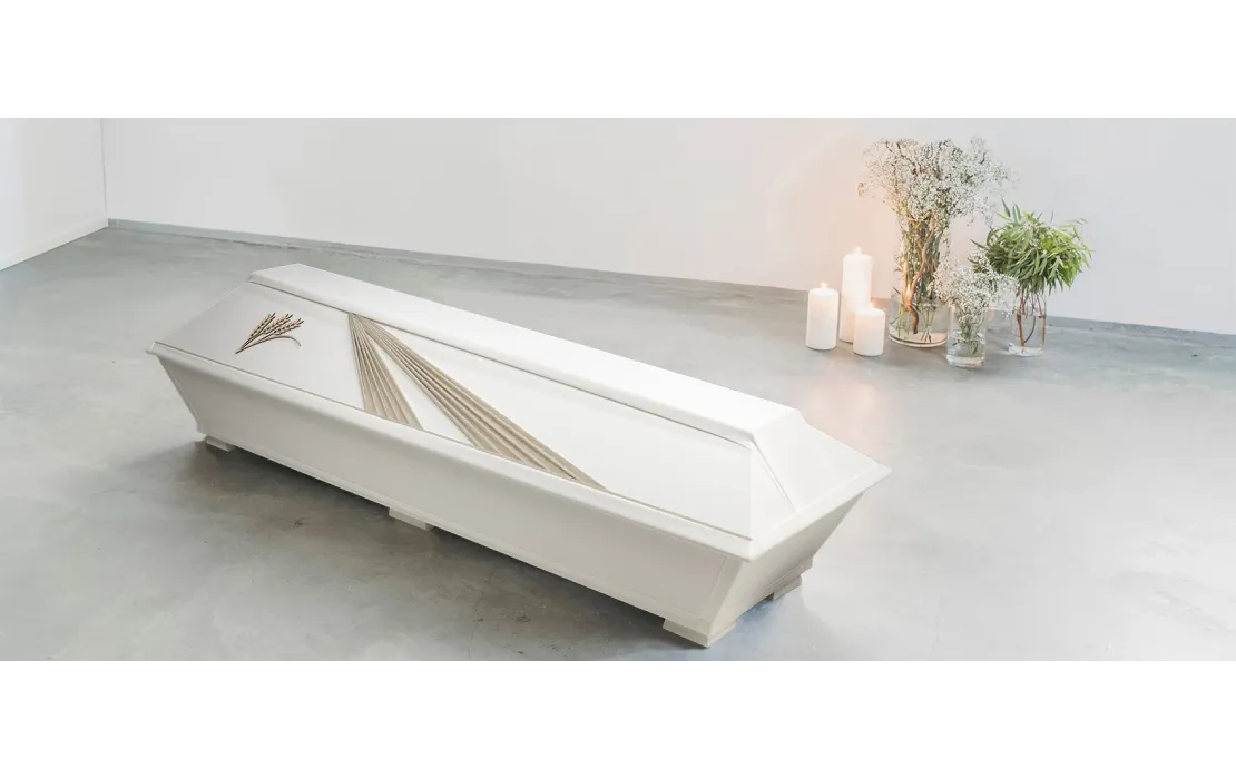 Verhoiltu arkku Vilja