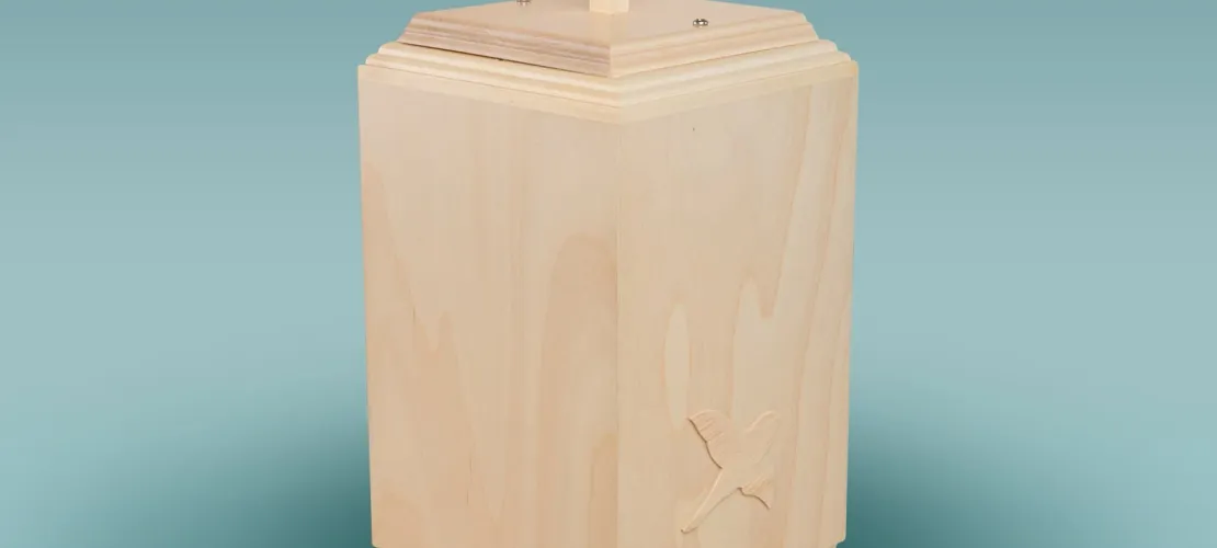 Uurna Koivu lintu vaalea