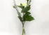 Muistotilaisuuden kukat 'Valkea ruusu' 