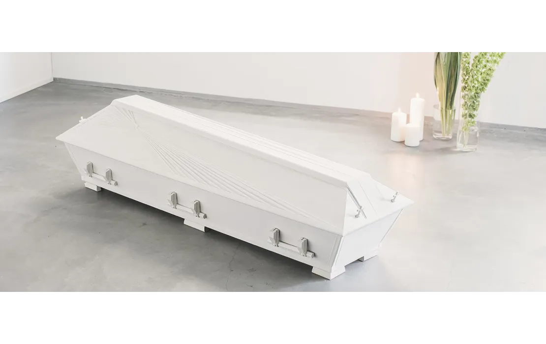 Verhoiltu arkku Hein&auml;