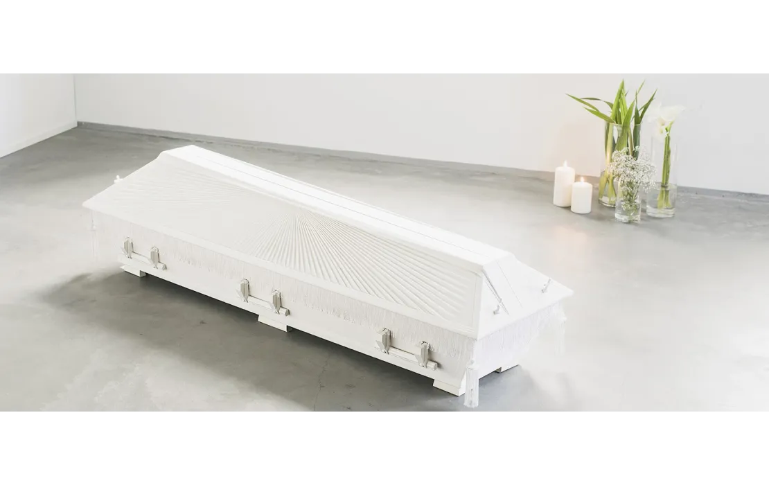 Verhoiltu arkku Kansis&auml;de