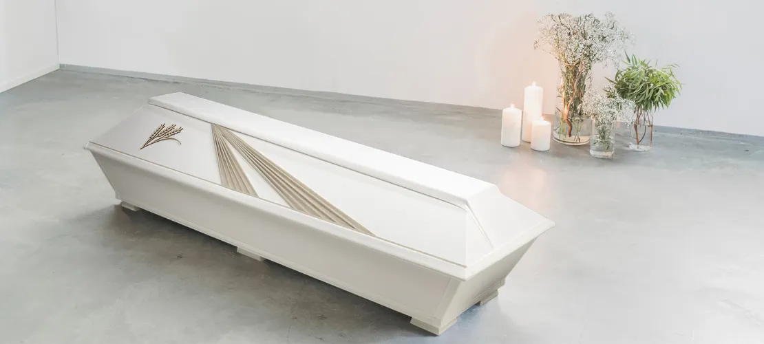 Verhoiltu arkku Vilja