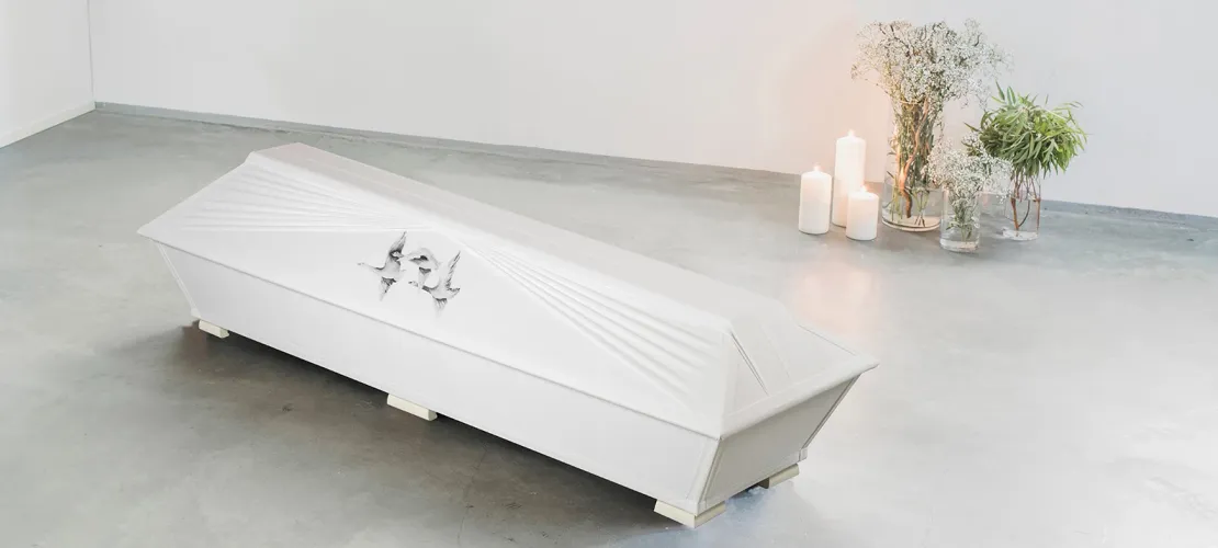 Verhoiltu arkku Joutsenet